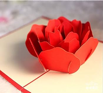 Amazon | グリーティングカード 立体ポップアップカード 薔薇